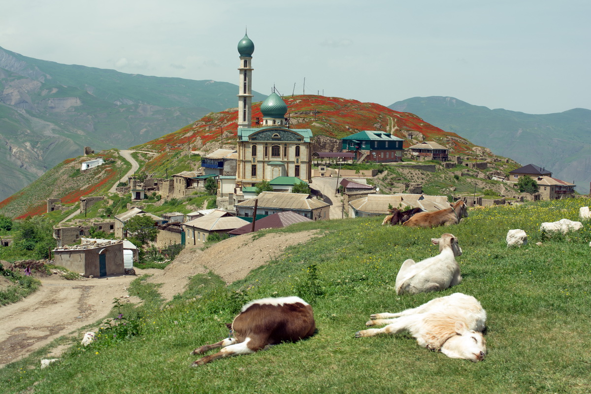 Окрестности села Новое Каракюре, изображение ландшафта.
