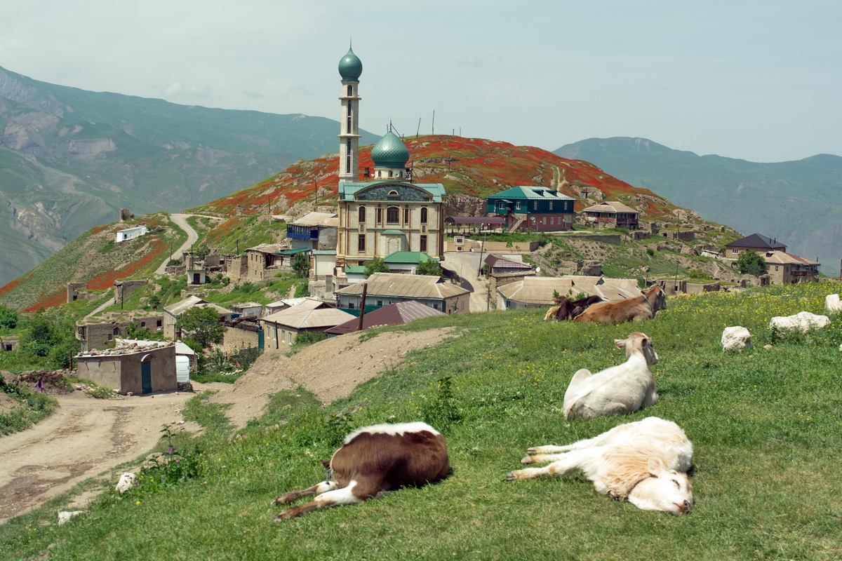 Окрестности села Новое Каракюре, image of landscape/habitat.