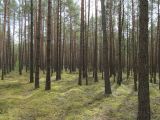 Изображение ландшафта