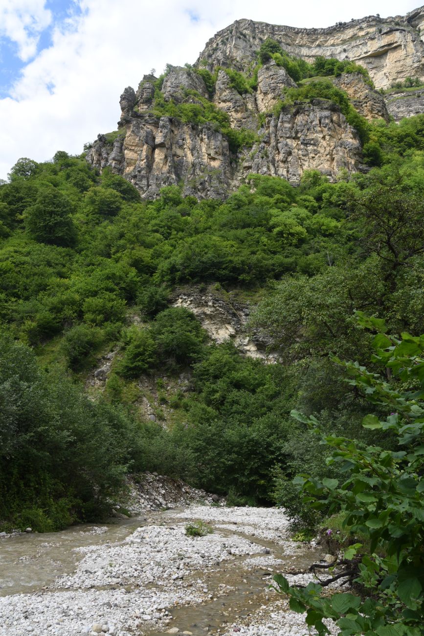 Минеральный Источник, изображение ландшафта.