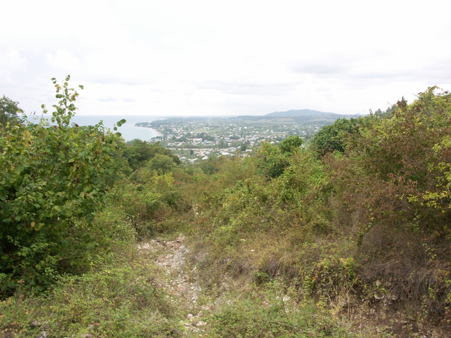 Цандрипш, image of landscape/habitat.