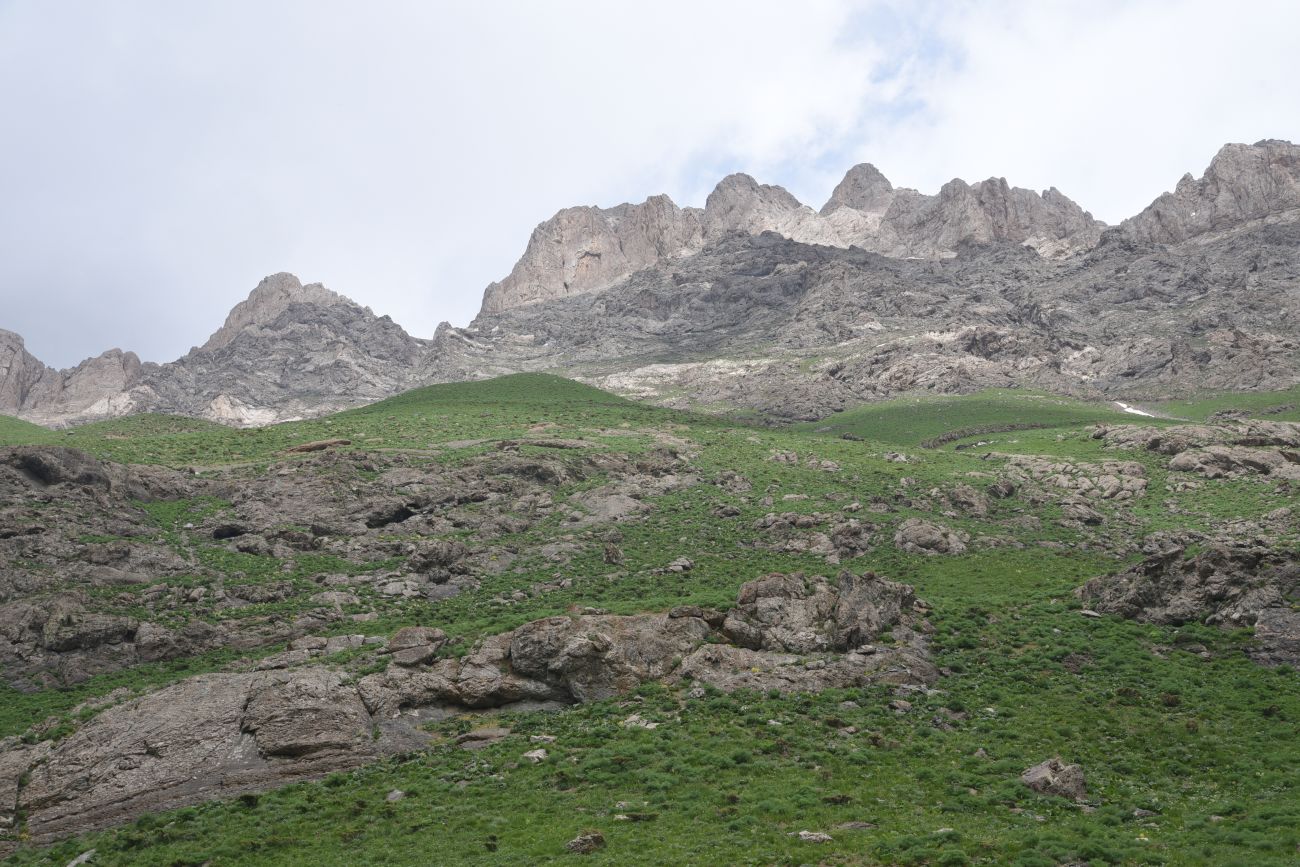 Базовый лагерь, image of landscape/habitat.