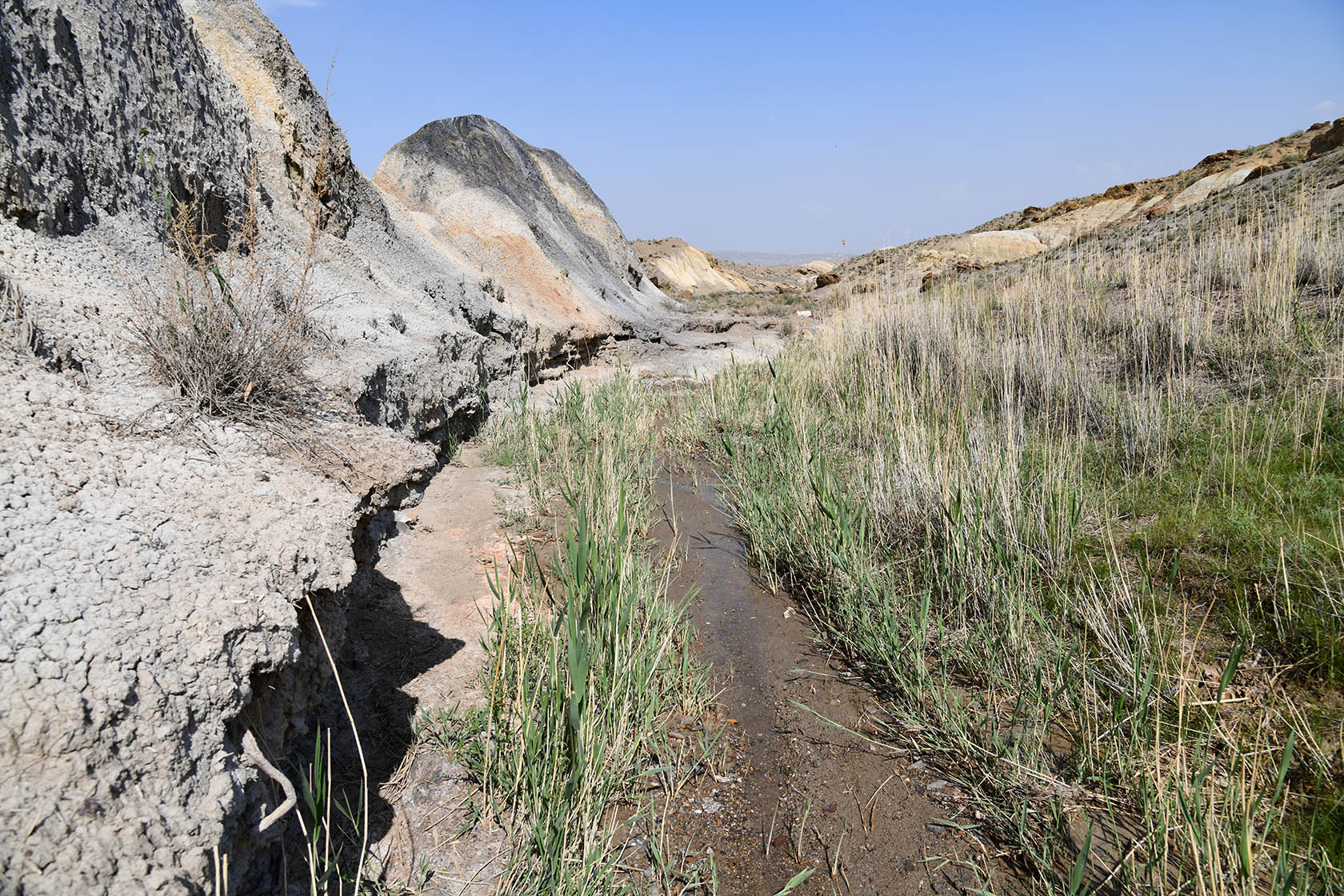 Мадыген, image of landscape/habitat.