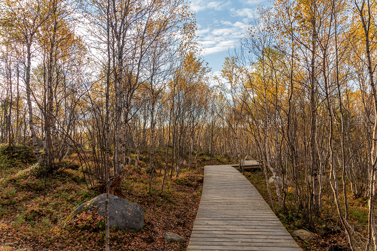 Мурманск, image of landscape/habitat.