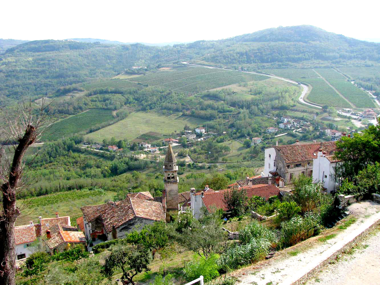 Мотовун, image of landscape/habitat.