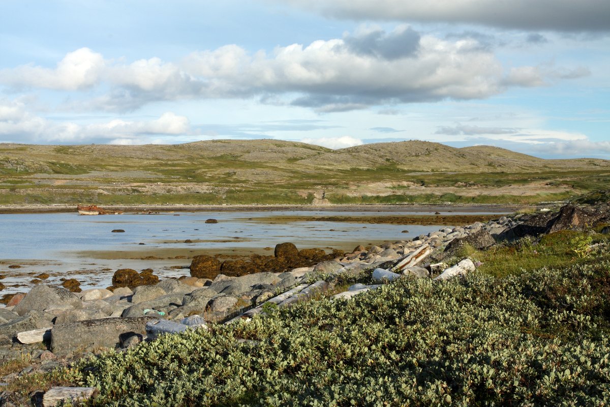 Дальние Зеленцы, image of landscape/habitat.