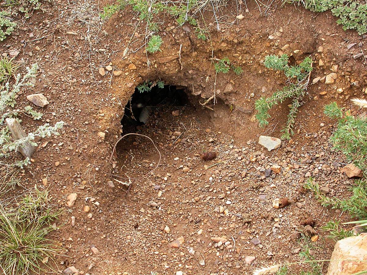 Гусиноозерский Хамар-Дабан, image of landscape/habitat.