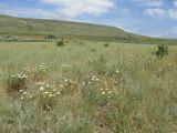 Озеро Бараколь, image of landscape/habitat.