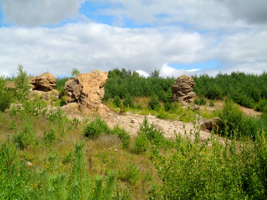 Карьер Примень, image of landscape/habitat.