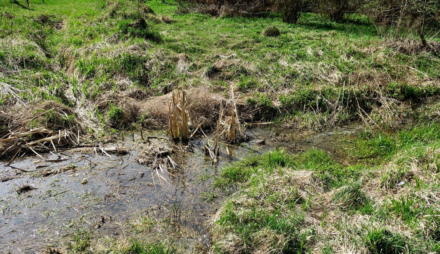 Ярцево, image of landscape/habitat.