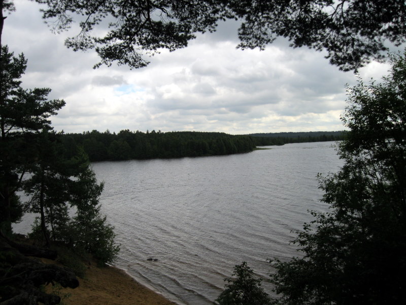 Токсово, image of landscape/habitat.