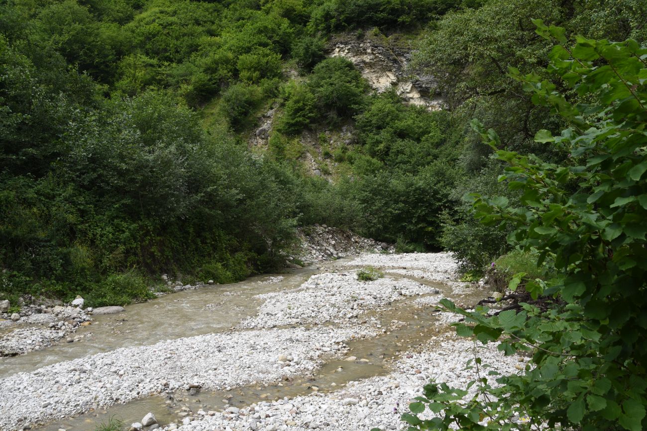 Минеральный Источник, изображение ландшафта.