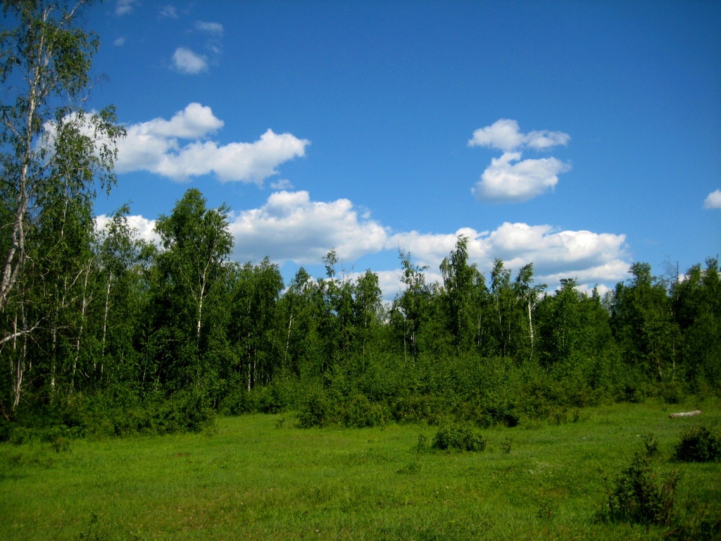 Кескил, image of landscape/habitat.