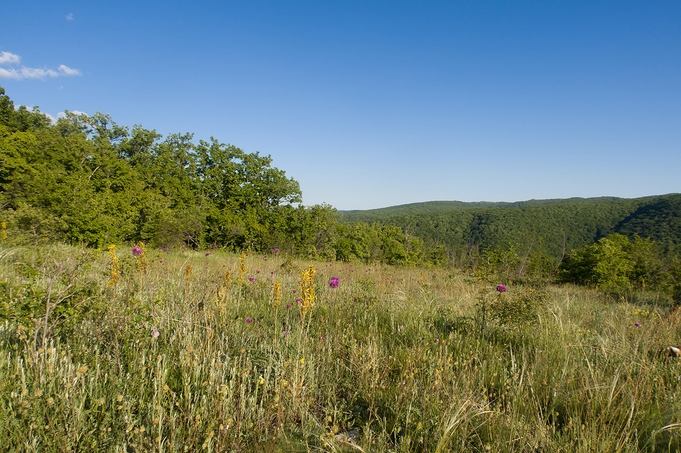 Гора Долгая, image of landscape/habitat.