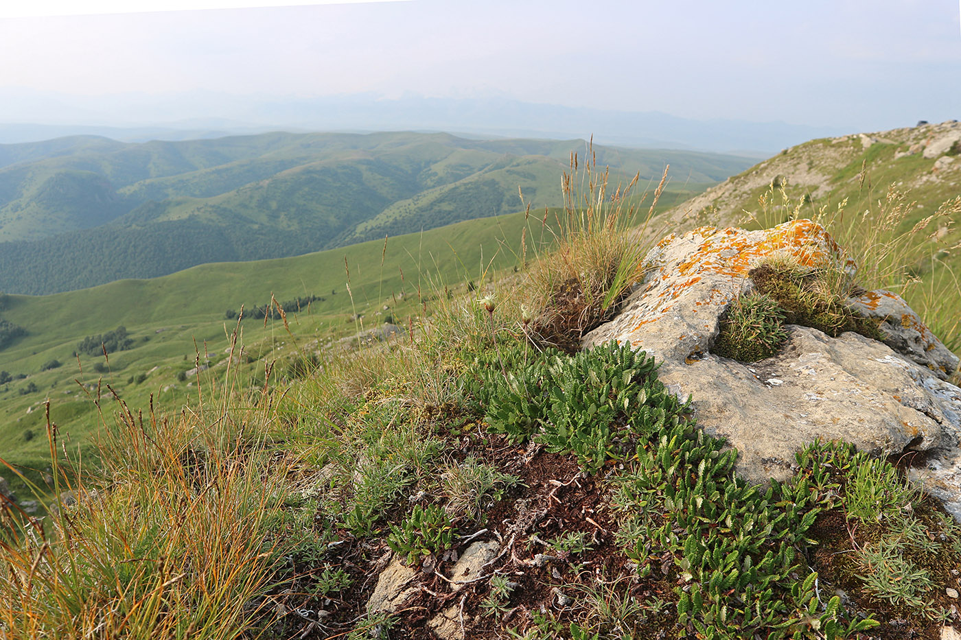Малый Бермамыт, image of landscape/habitat.