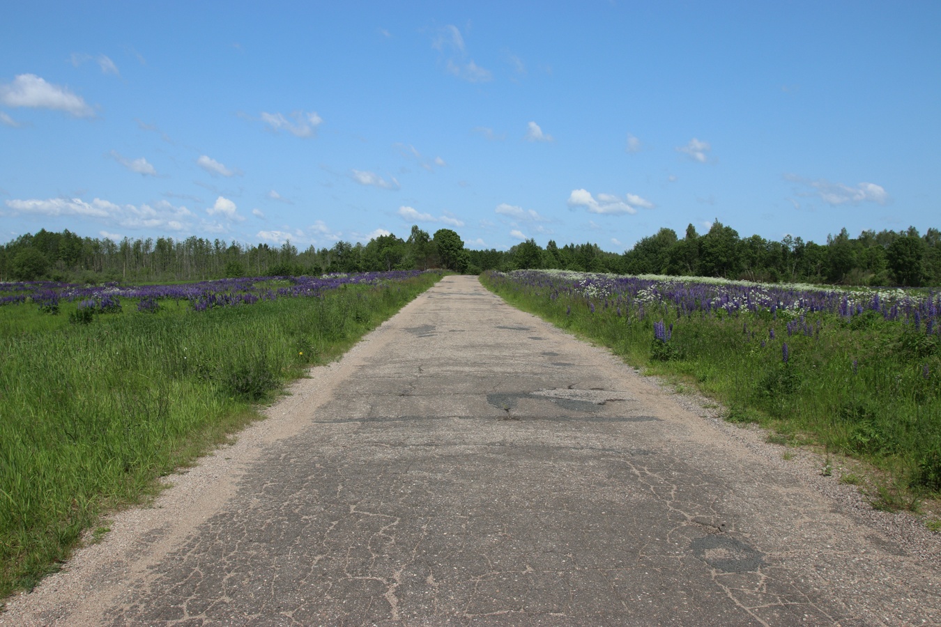 Окрестности Косенково, image of landscape/habitat.