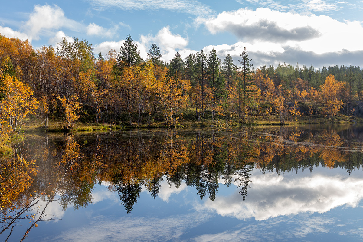 Мурманск, image of landscape/habitat.