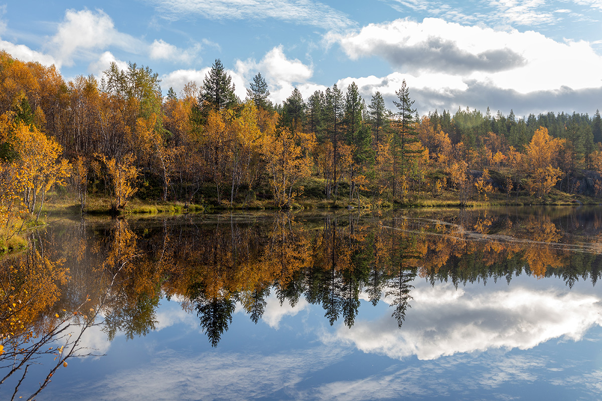 Мурманск, image of landscape/habitat.