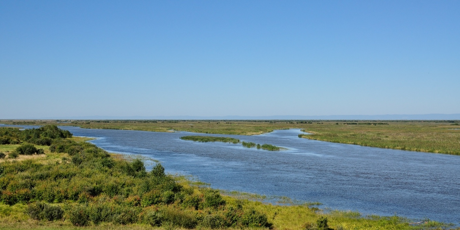 Дельта реки Селенги, image of landscape/habitat.