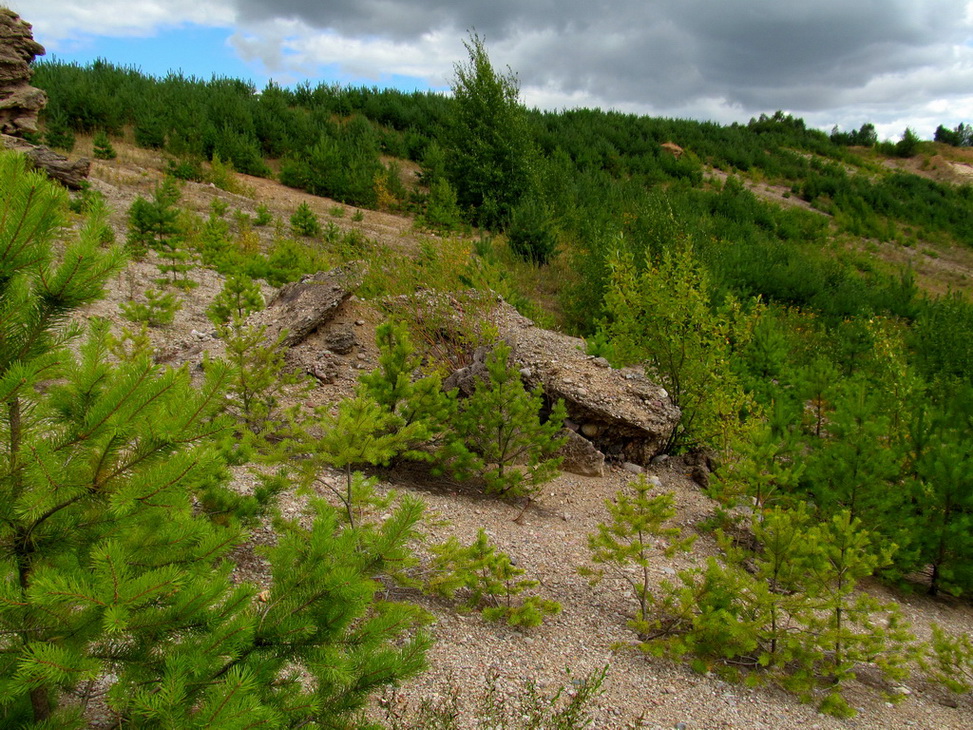 Карьер Примень, image of landscape/habitat.