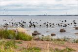 Image of landscape