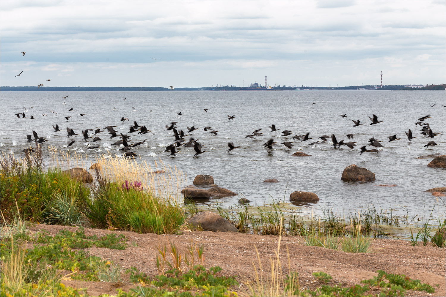 Киперорт, image of landscape/habitat.