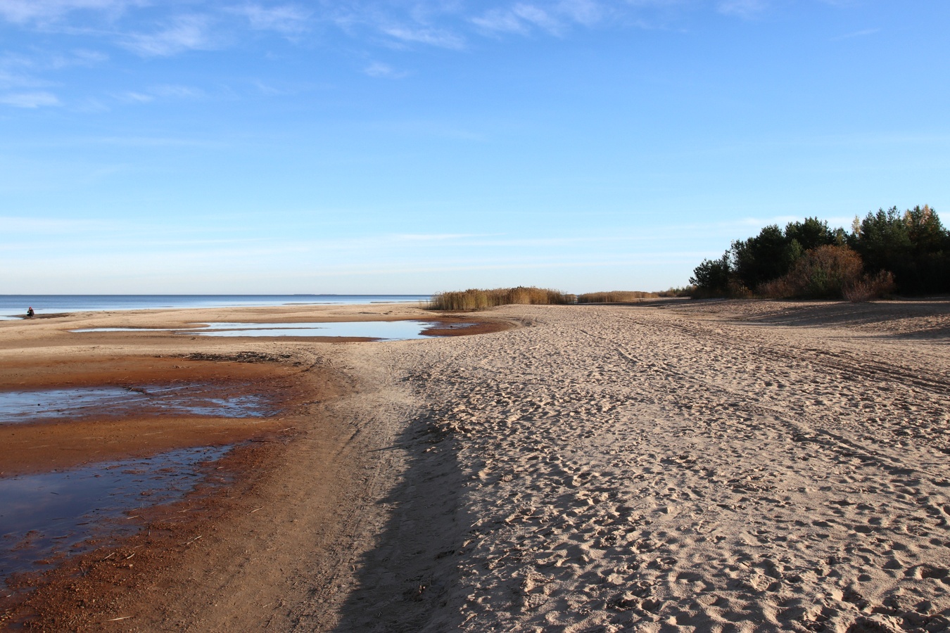 Окрестности Коккорево, изображение ландшафта.
