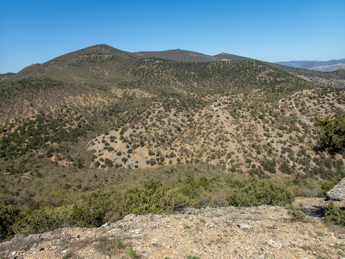 Сокол, image of landscape/habitat.