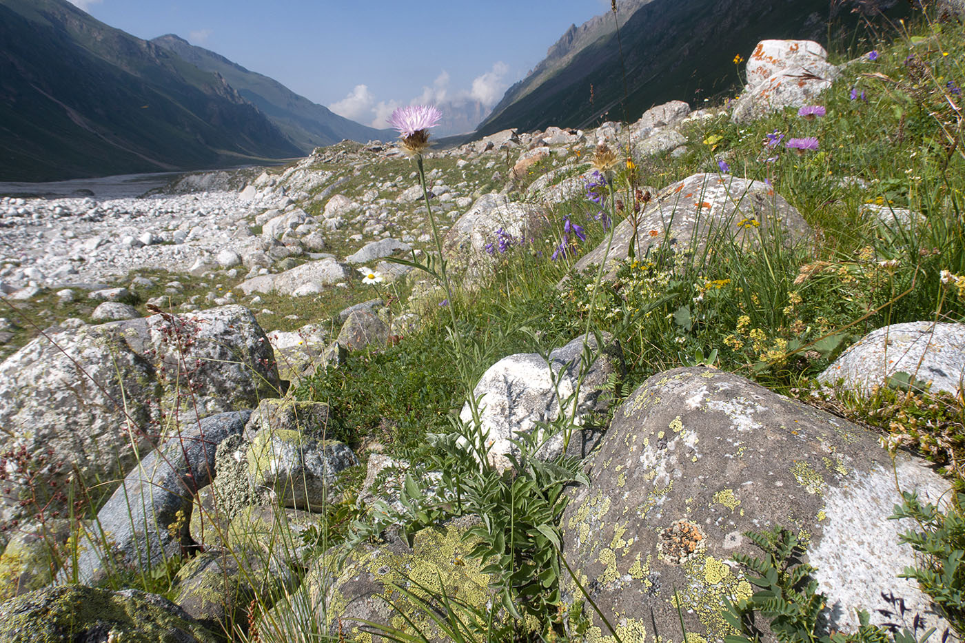 Ледник Нахашбита (Псыгансу), image of landscape/habitat.
