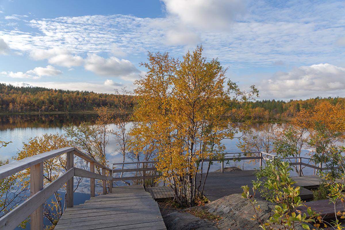 Мурманск, image of landscape/habitat.