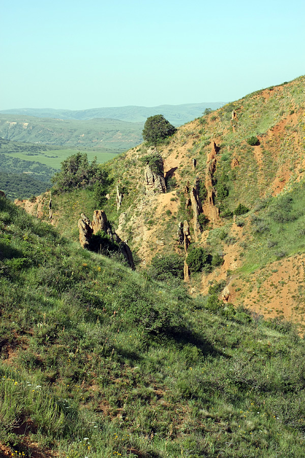 Ущелье Кызылбулак, image of landscape/habitat.