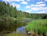 Долина реки Вель, image of landscape/habitat.