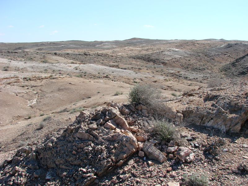 Султан-Увайс, image of landscape/habitat.