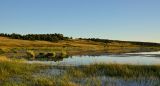 Image of landscape