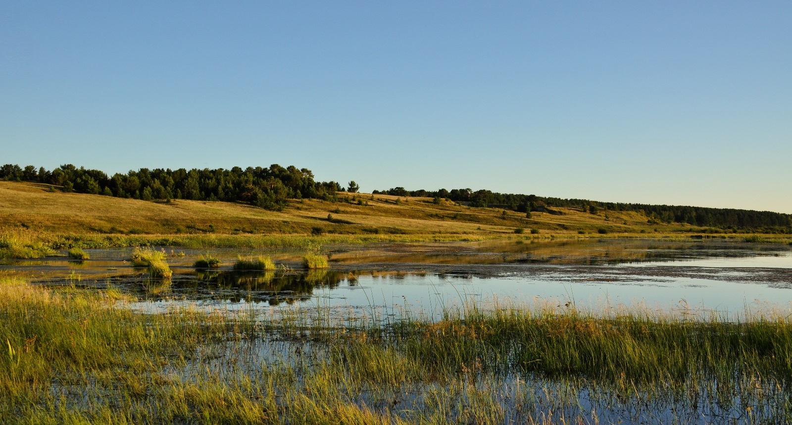 Дельта реки Селенги, image of landscape/habitat.