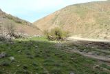 Бёрме - Сайван, image of landscape/habitat.