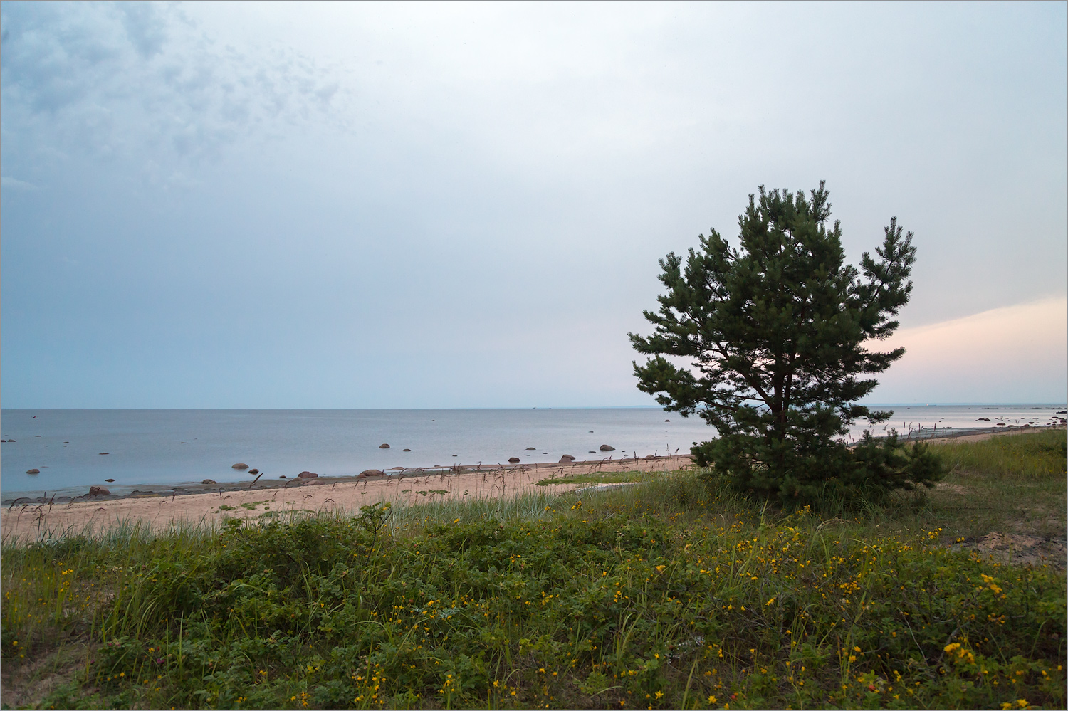 Кандикюля, image of landscape/habitat.