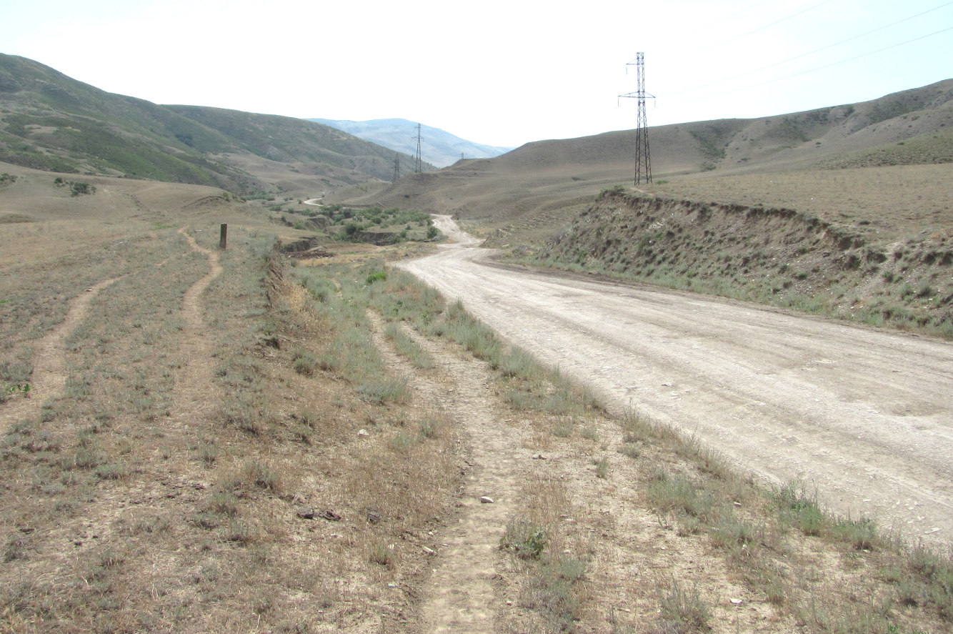 Талги, image of landscape/habitat.