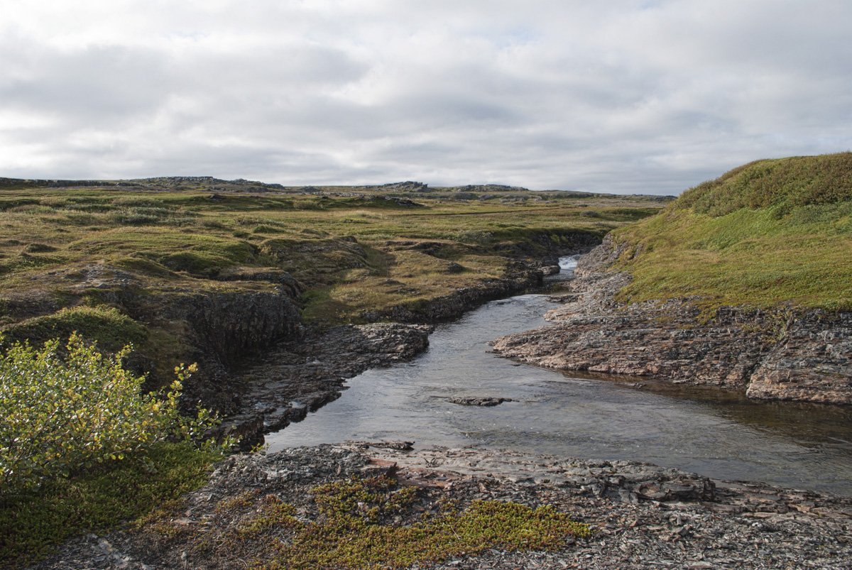 Скорбеевка, image of landscape/habitat.