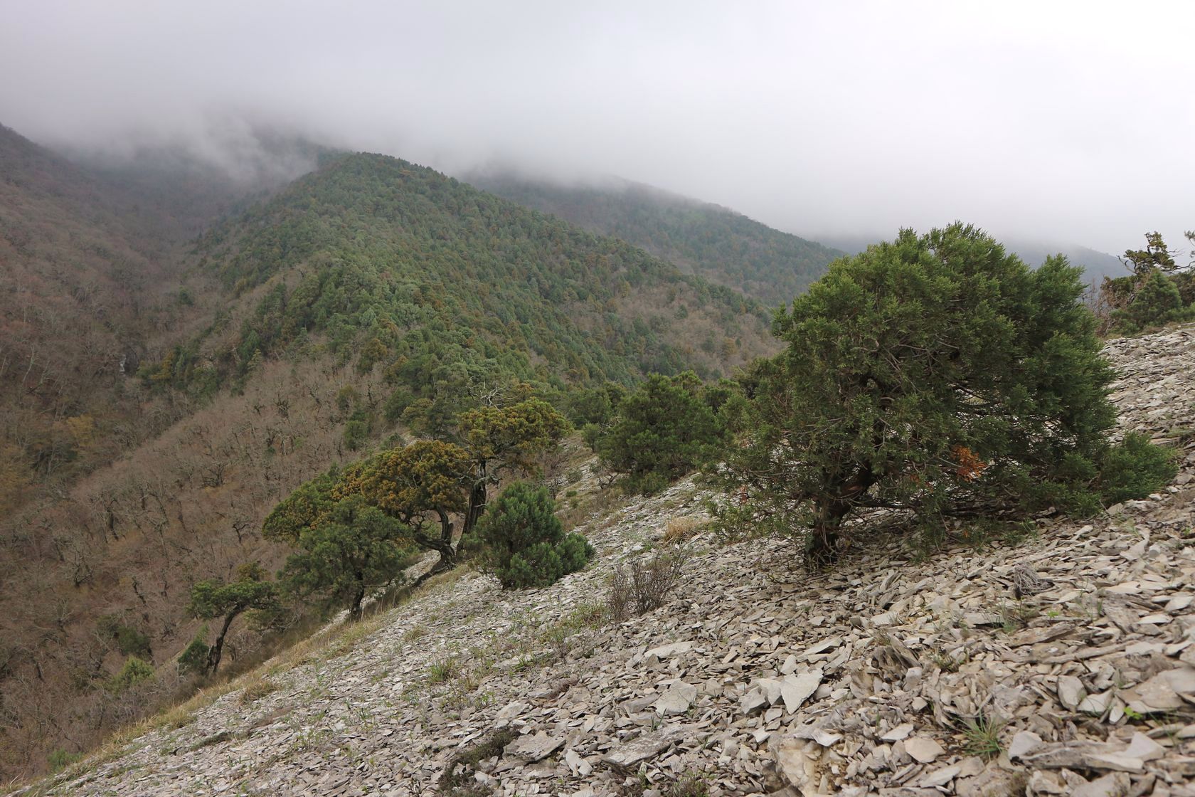 Пенайская щель, image of landscape/habitat.