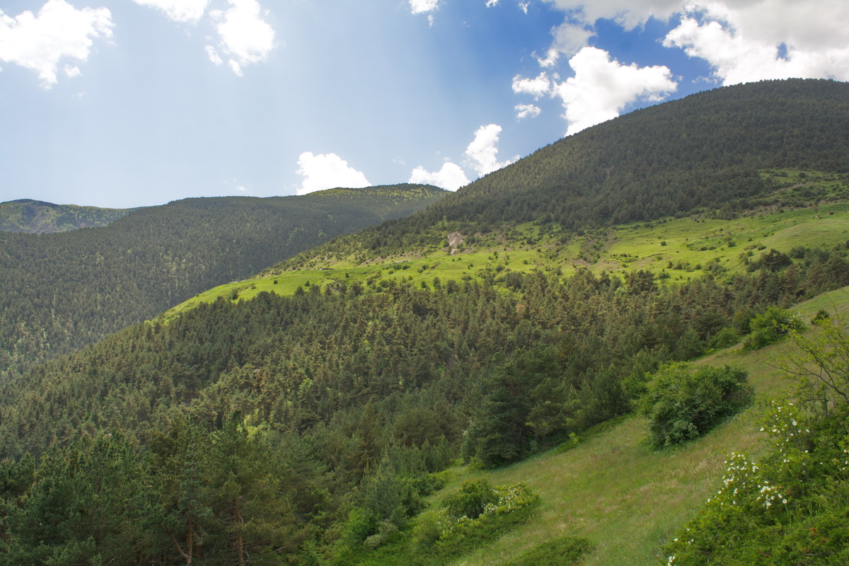 Окрестности села Хрюг, image of landscape/habitat.