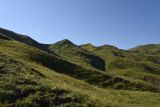 Image of landscape