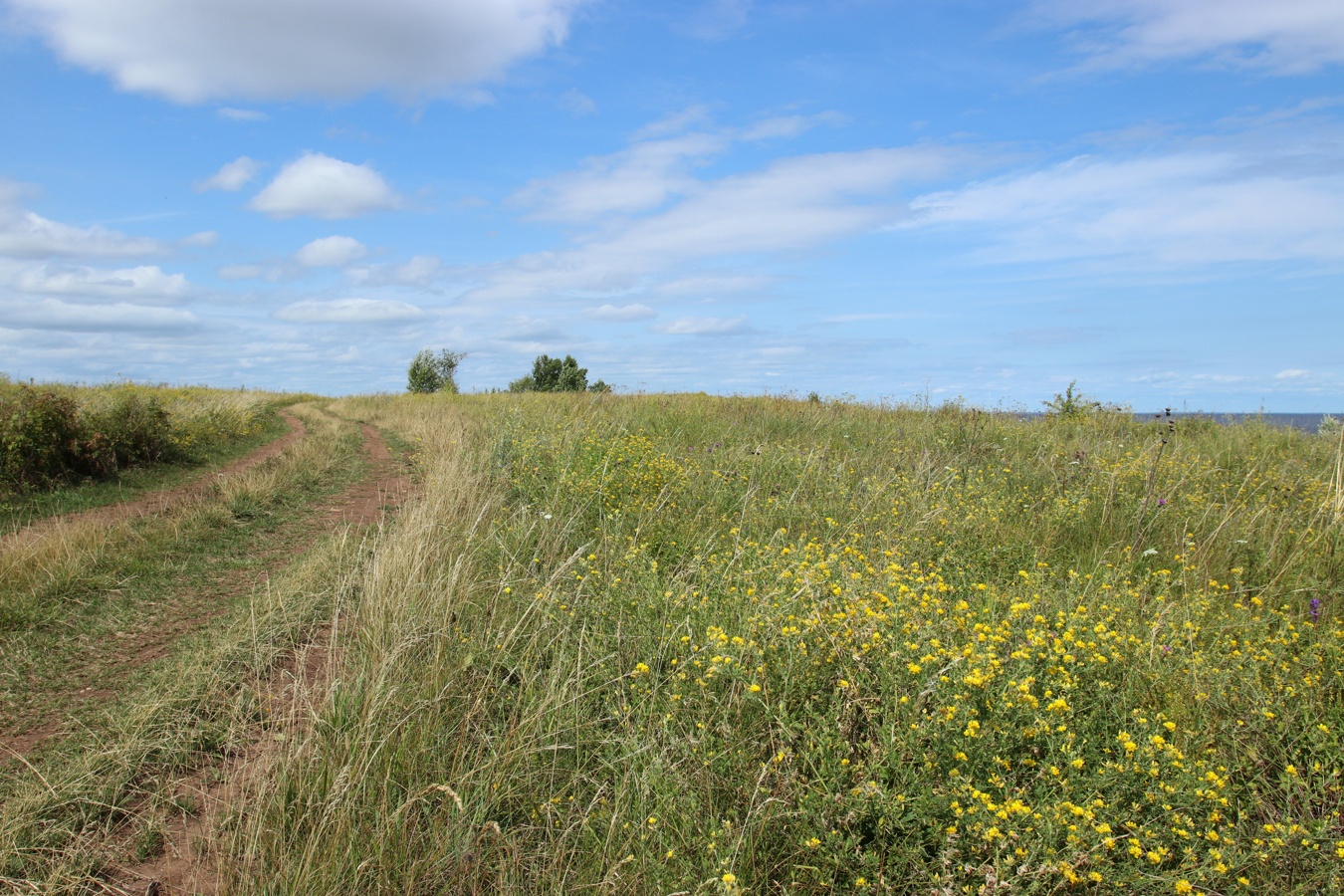 Ильменский глинт, image of landscape/habitat.