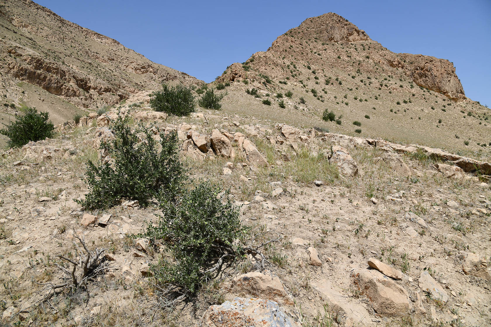 Тахти-Сангин, image of landscape/habitat.