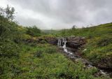 Ручей Маннепахкуай, image of landscape/habitat.