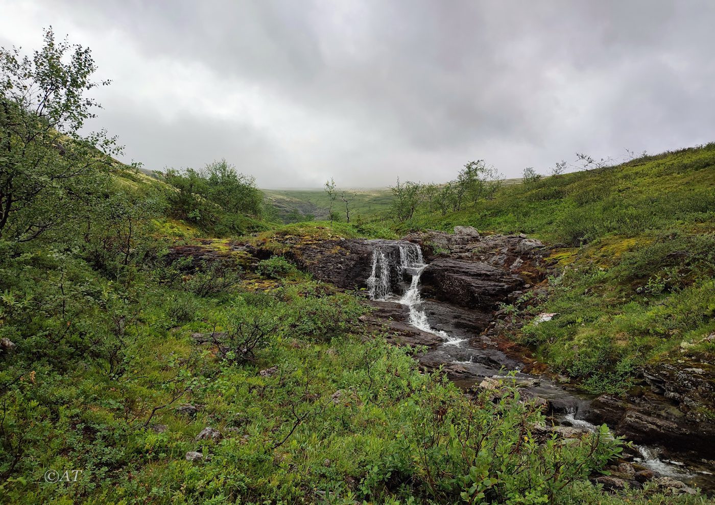 Ручей Маннепахкуай, image of landscape/habitat.