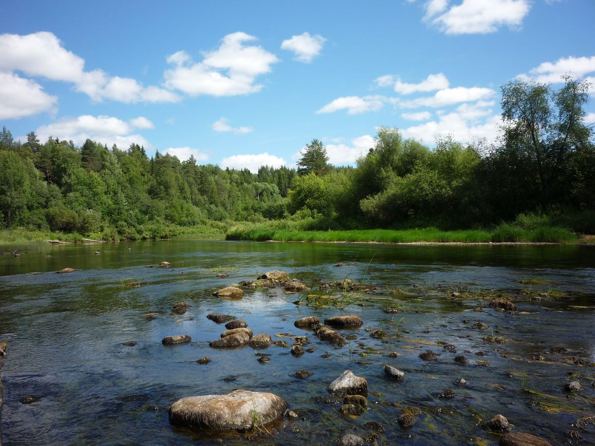 Долина реки Вель, image of landscape/habitat.