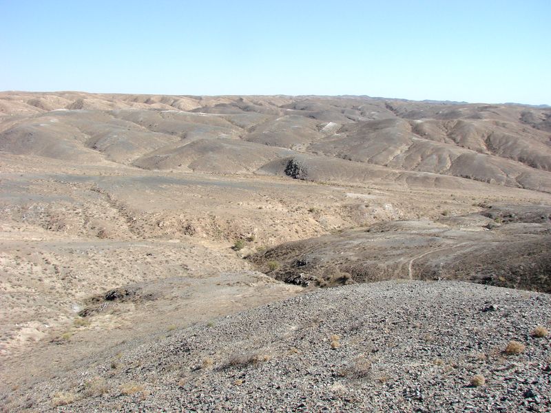 Султан-Увайс, image of landscape/habitat.