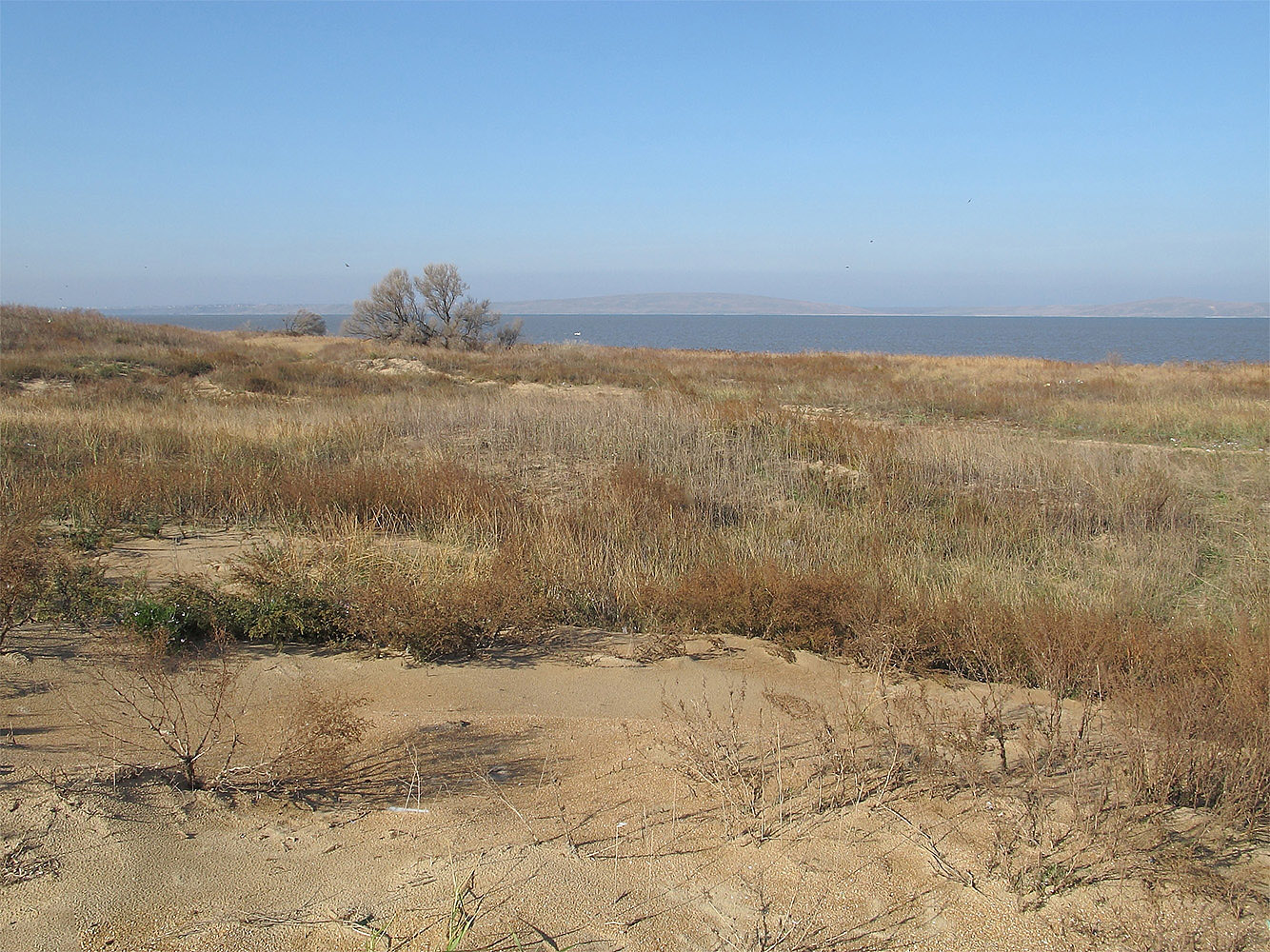 Бугазская коса, image of landscape/habitat.