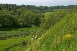 Image of landscape